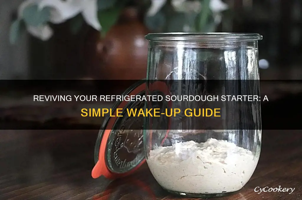 how to wake up refrigerated sourdough starter