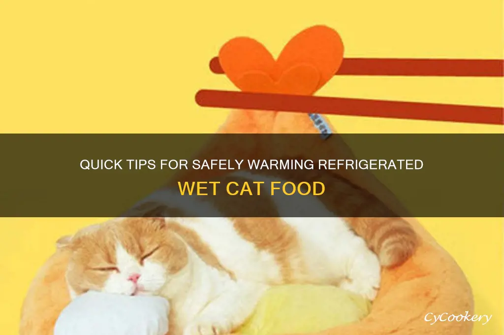 how to warm refrigerated wet cat food