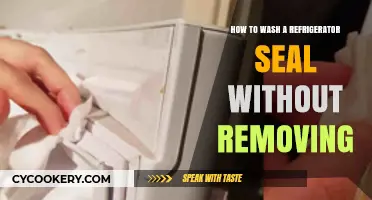 Easy Guide: Cleaning Your Refrigerator Seal Without Removal