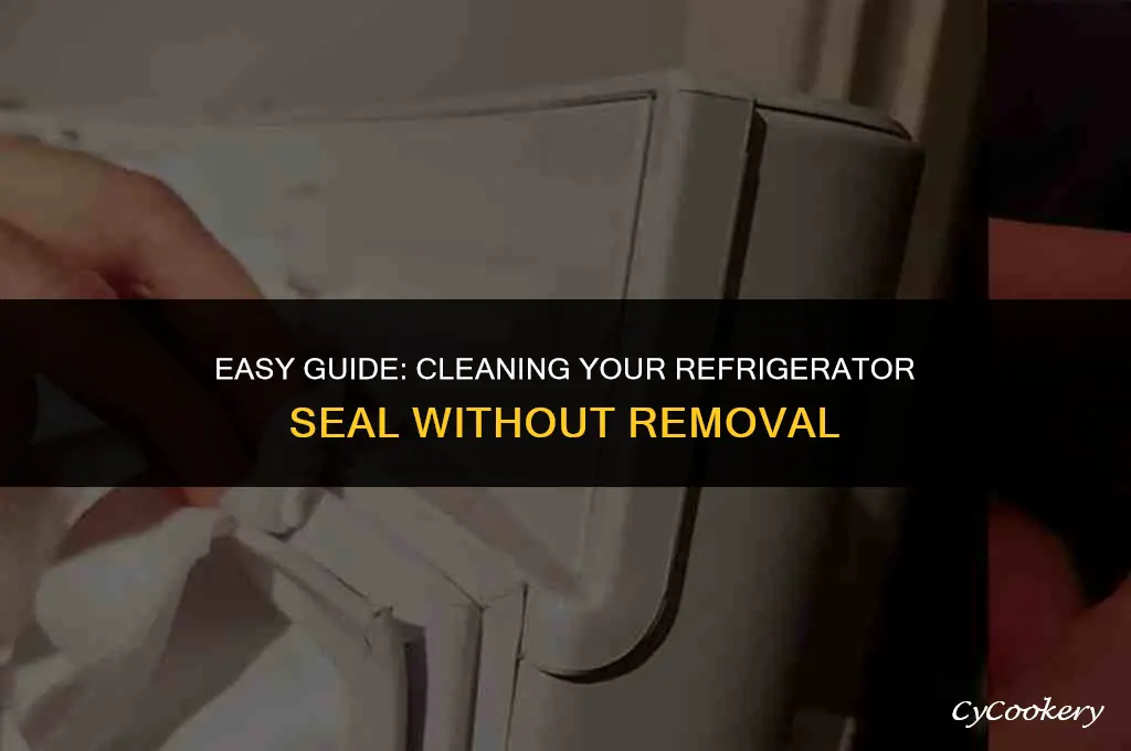 how to wash a refrigerator seal without removing