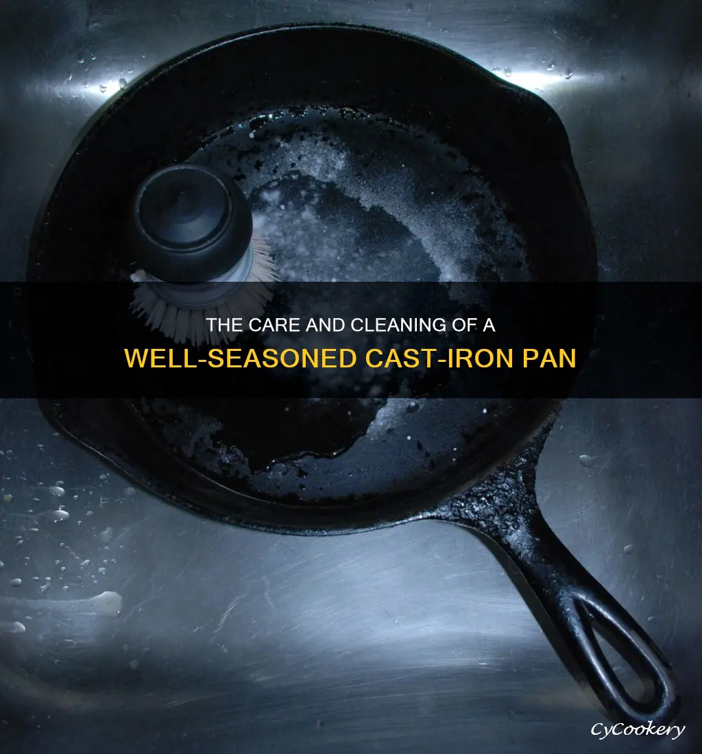 how to wash a well-seasoned cast-iron pan