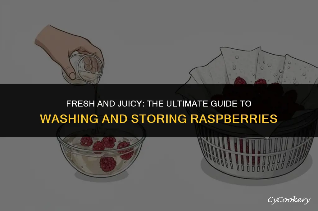 how to wash and store raspberries in the refrigerator