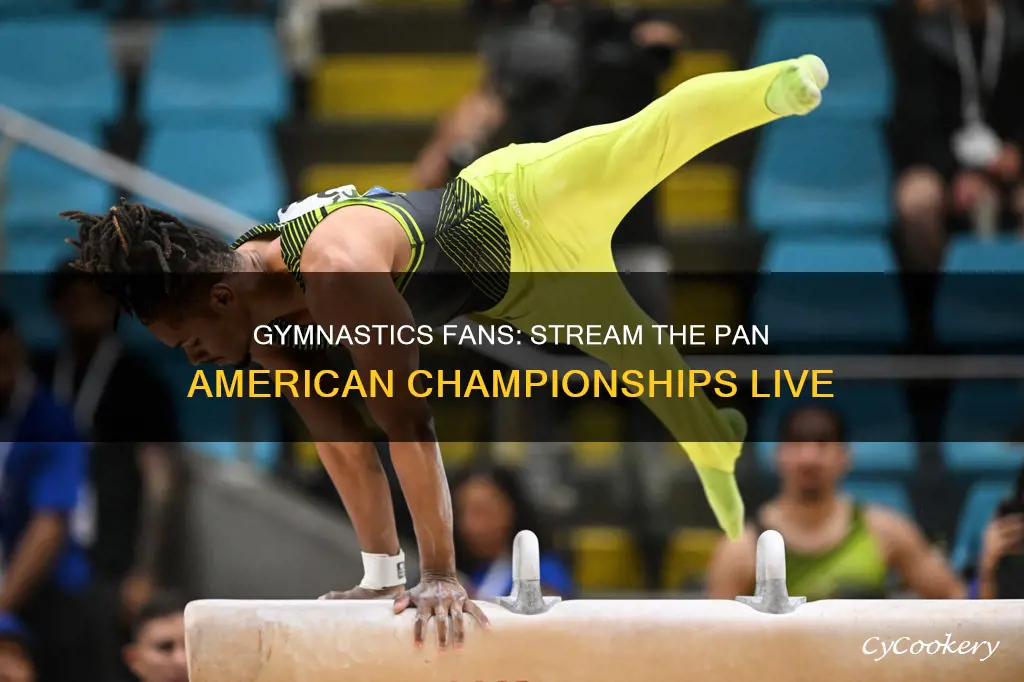 how to watch pan american gymnastics