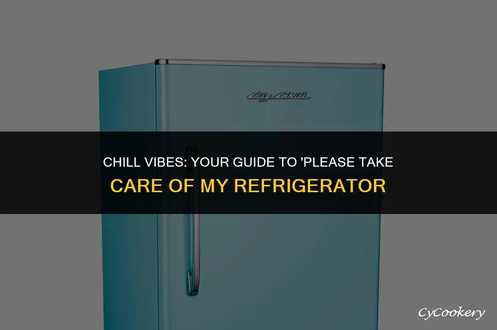 how to watch please take care of my refrigerator