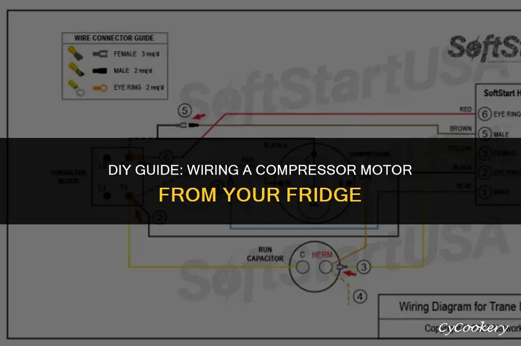 how to wire a compressor motor out of refrigerator