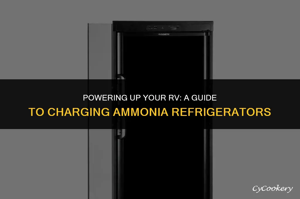 how to you charge a rv ammonia refrigerator