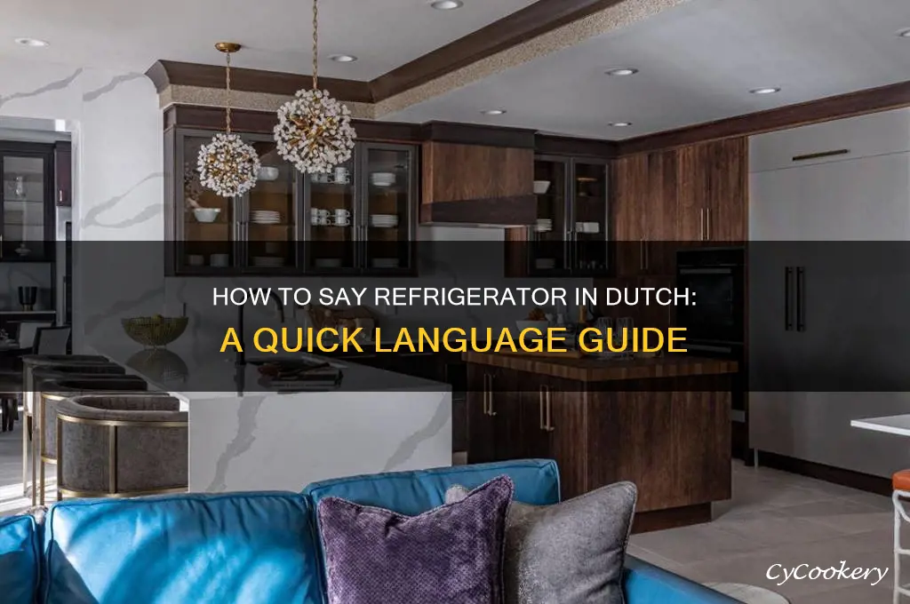 how to you say refrigerator in dutch