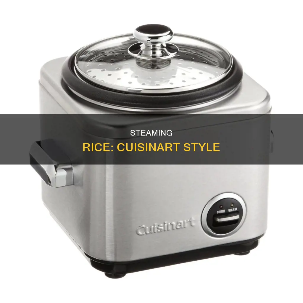 how to.cook.rice.in.the.cuisinart.steamer