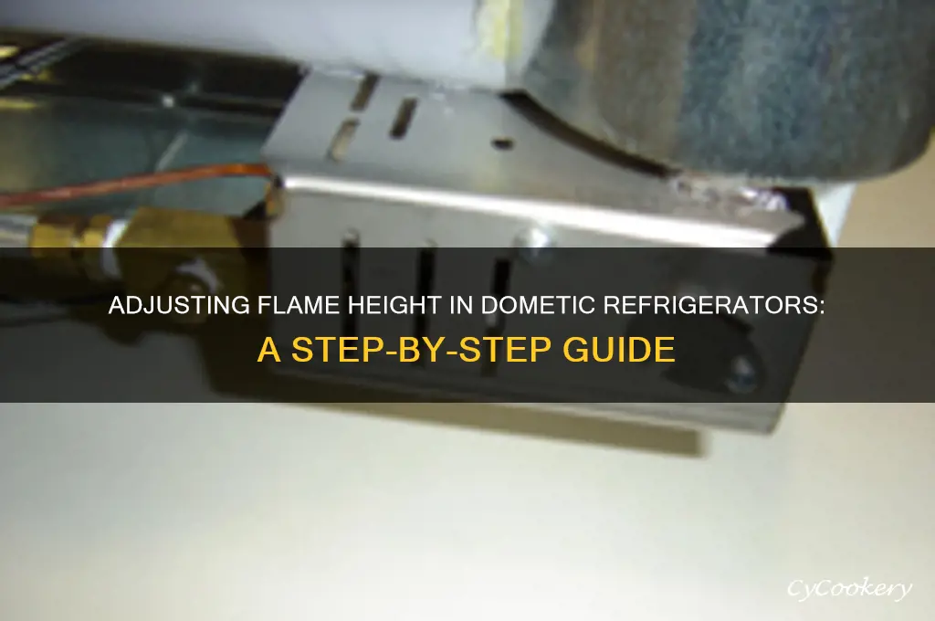 how toadjust flame height in dometic refrigerators