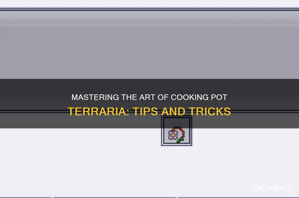 how toget cooking pot terrara
