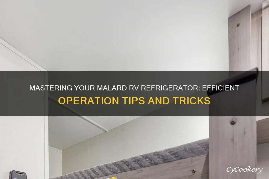 how tp operate refrigerator in malard rv