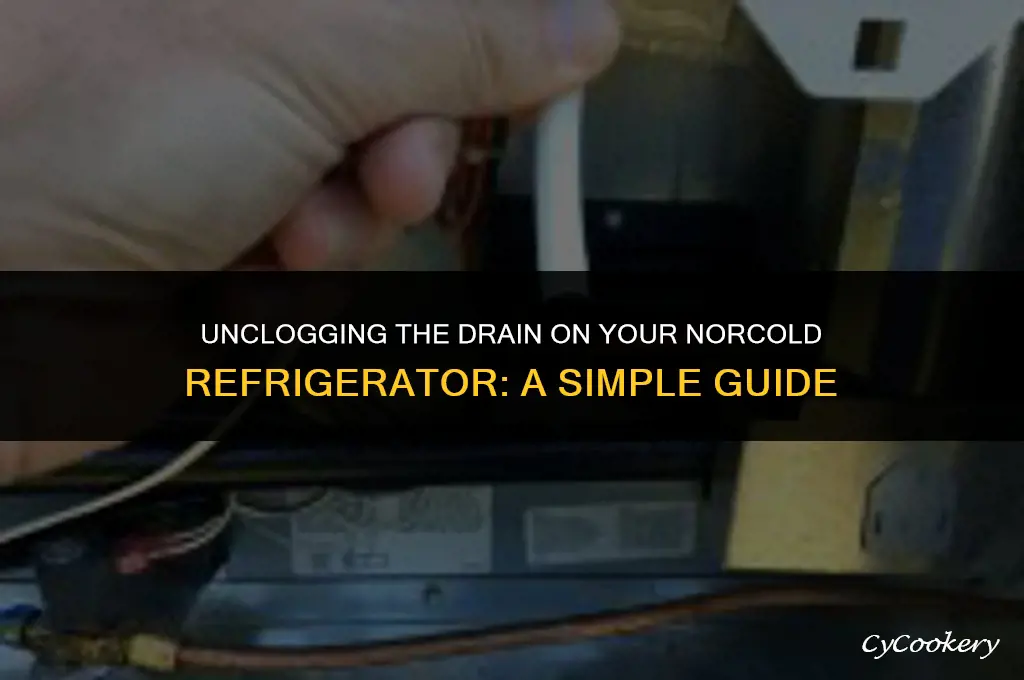 how unplug the refrigerator drain on a norcold fridge
