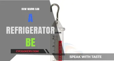 Ideal Fridge Temperature: How Warm is Too Warm for Safety?