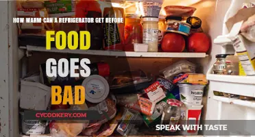 Refrigerator Temperature Limits: When Does Food Spoilage Begin?
