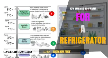 Chilling Facts: The Optimal Temperature for Your Fridge
