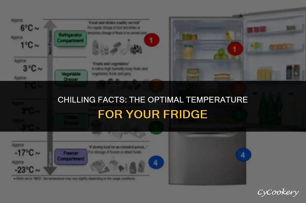 how warm is too warm for a refrigerator