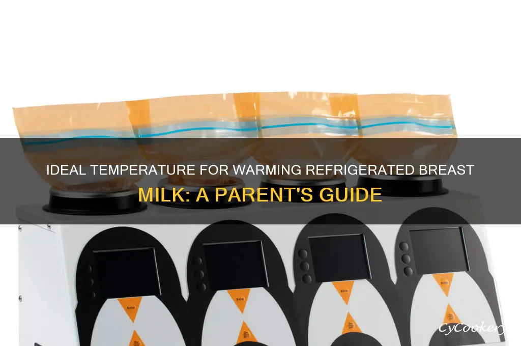 how warm should refrigerated breast milk be