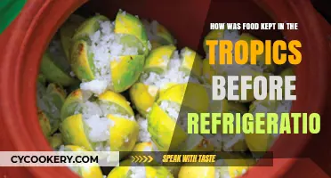 Preserving Paradise: Tropical Food Storage Before Refrigeration