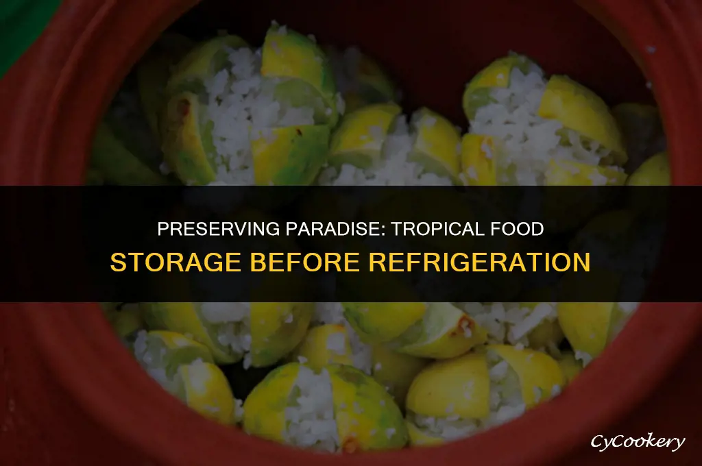 how was food kept in the tropics before refrigeration