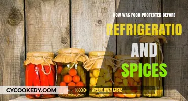 Preserving Flavors: A Historical Journey into Food Protection Techniques