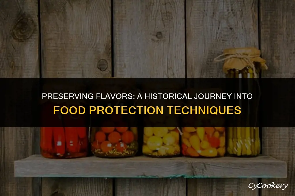 how was food protected before refrigeration and spices