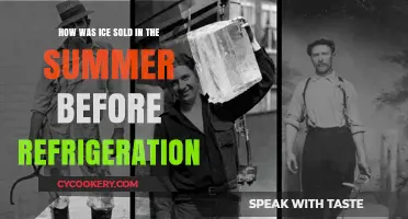 Chilled Delights: The Ingenious Ways Ice Was Sold Pre-Refrigeration