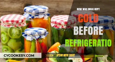 Chilling Traditions: Preserving Milk Before Modern Refrigeration