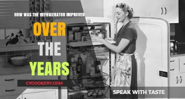 Chilling Evolution: The Remarkable Journey of Refrigerator Innovation