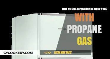 Exploring Eco-Friendly Cooling: The Rise of Propane Refrigerators