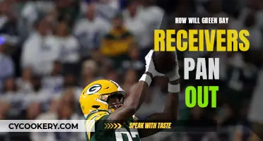 Green Bay Receivers: What's Their Fate?