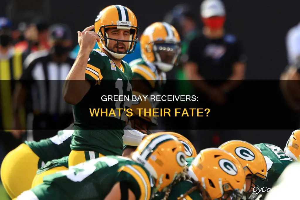 how will green bay receivers pan out