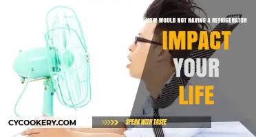Life Without a Fridge: Uncool Realities and Chilled Alternatives