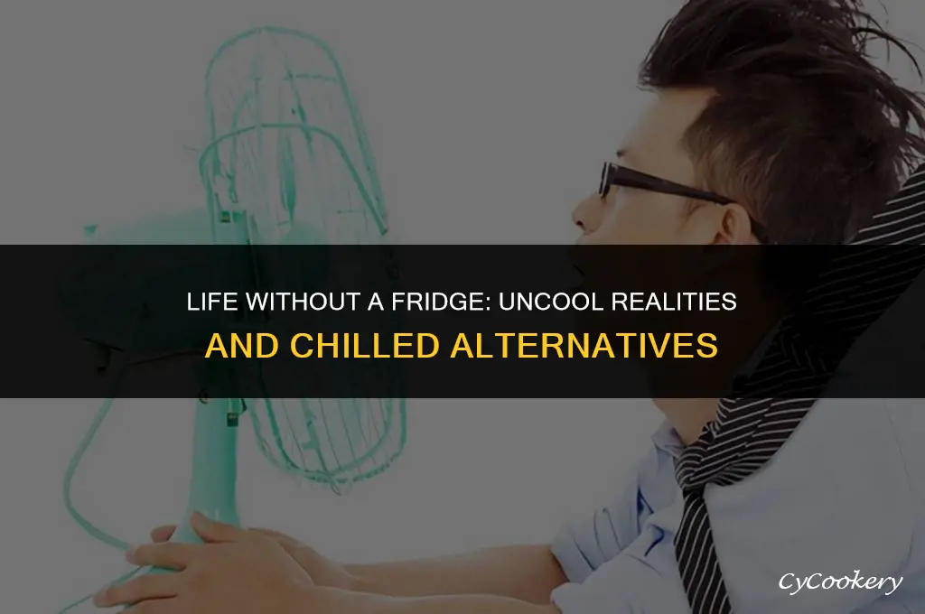 how would not having a refrigerator impact your life