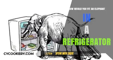 The Curious Case of Fitting an Elephant in a Fridge
