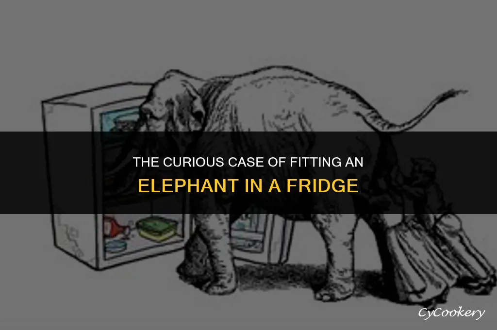 how would you fit an elephant in a refrigerator
