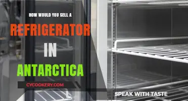 Chilling Success: Marketing Refrigerators in the Antarctic Market