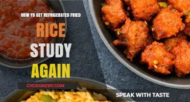 Reviving Your Study Game: The Ultimate Guide to Refrigerated Fried Rice