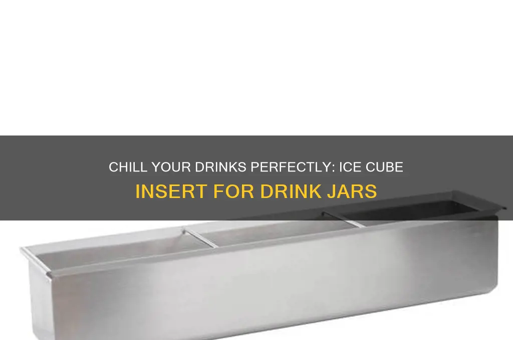 ice cube insert for drink jar