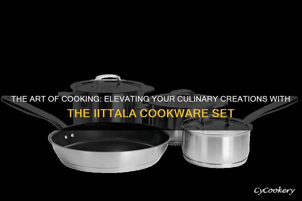 iittala cookware set