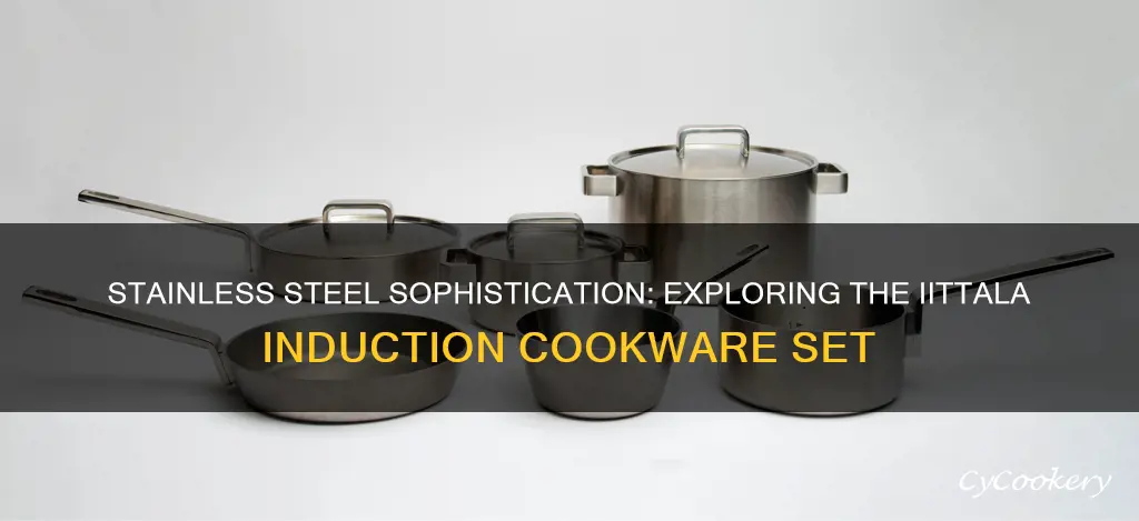 iittala stainless steel induction cookware set