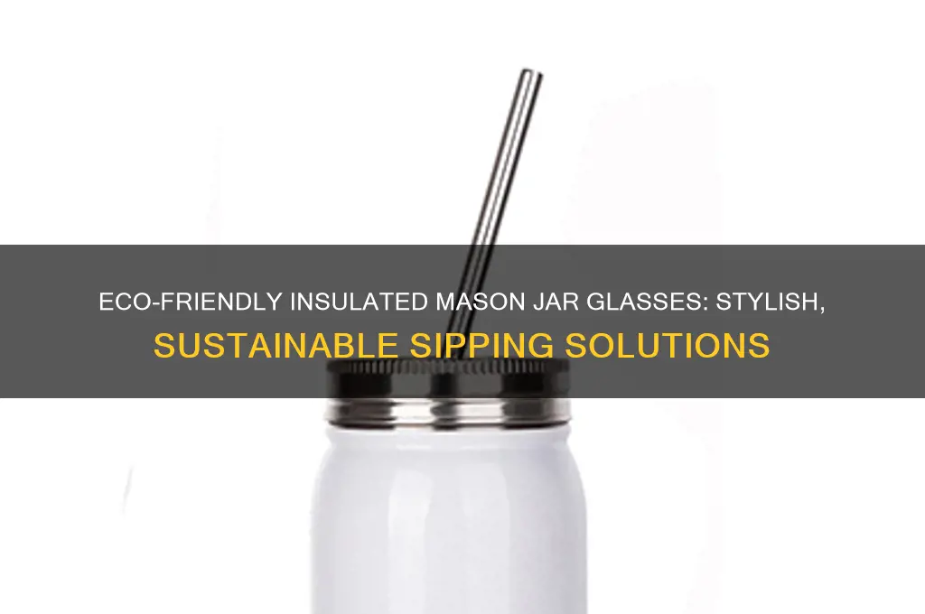 insulated mason jar drinking glasses