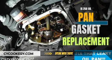 Oil Pan Gasket Replacement: DIY or Call a Mechanic at 250?