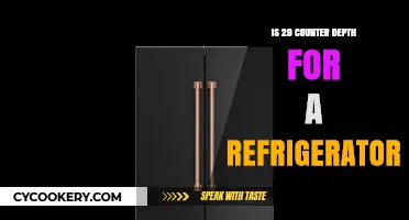 Is a 29-Inch Counter Depth Fridge Right for Your Kitchen?