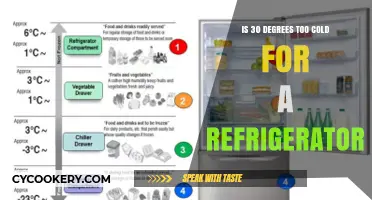Chilly Debates: Is 30 Degrees Too Cold for Your Fridge?