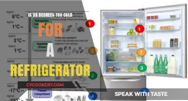 Chilly Debates: Is 35 Degrees Too Cold for Your Fridge?