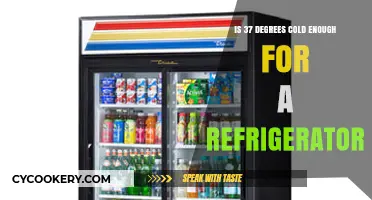 Chill Check: Is 37 Degrees Fahrenheit Cold Enough for Your Fridge?