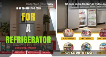 Is 37°F Too Cold for Your Refrigerator? Find Out Here