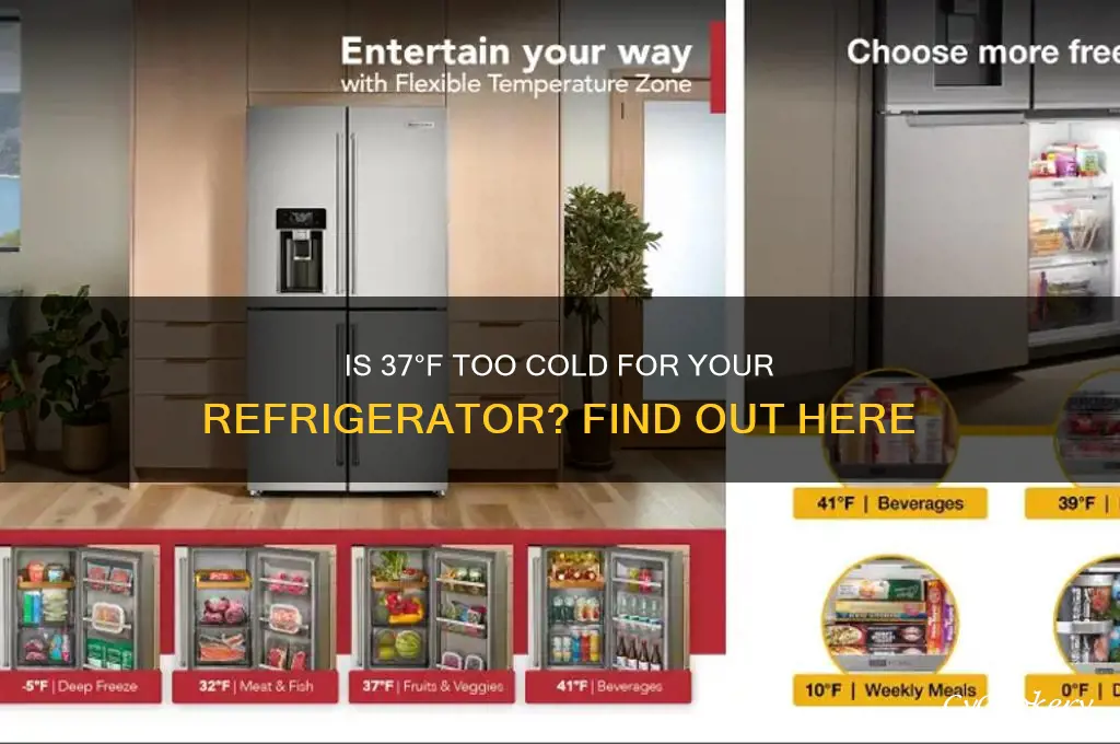 is 37 degrees too cold for a refrigerator