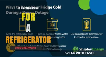 Is 40 Degrees Fahrenheit Cold Enough for Your Refrigerator?