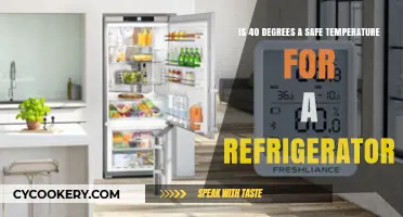 Chilling Facts: Is Your Fridge Running at the Right Temp?